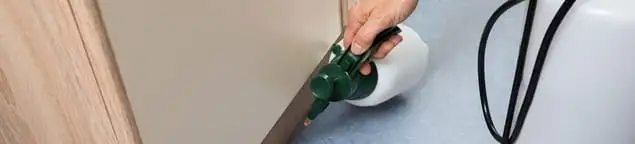 Bed bug exterminator treating baseboards and cracks with targeted spray in Gilbert, AZ