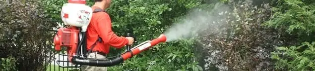 Mosquito control technician fogging shrubs and landscaping for mosquito treatment in Gilbert, AZ