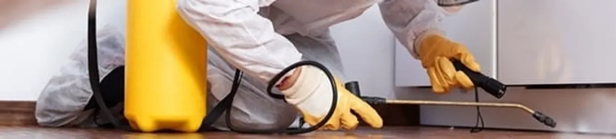 Roach exterminator treating cracks and crevices along kitchen baseboards in Gilbert, AZ