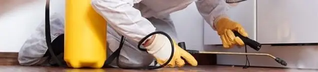 Roach exterminator treating cracks and crevices along kitchen baseboards in Gilbert, AZ