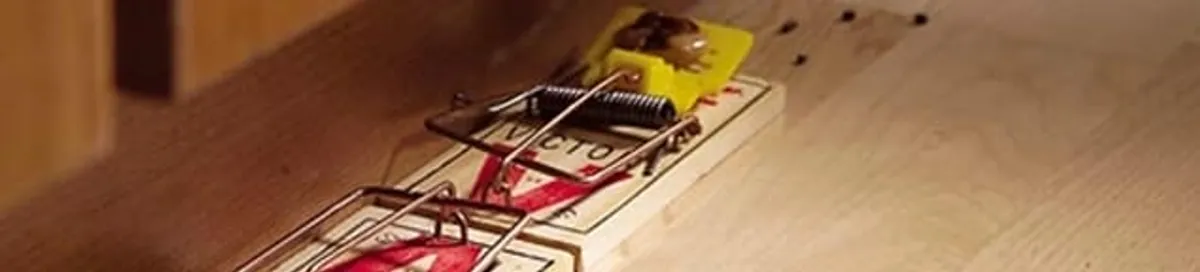 Rodent trap set indoors for rodent control and prevention in Gilbert, AZ