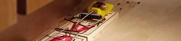 Rodent trap set indoors for rodent control and prevention in Gilbert, AZ